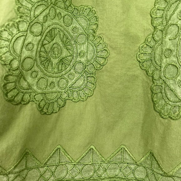 Ranna Gill Light Green Pleated Embroidered Sleeveless Top - Picture 4 of 9